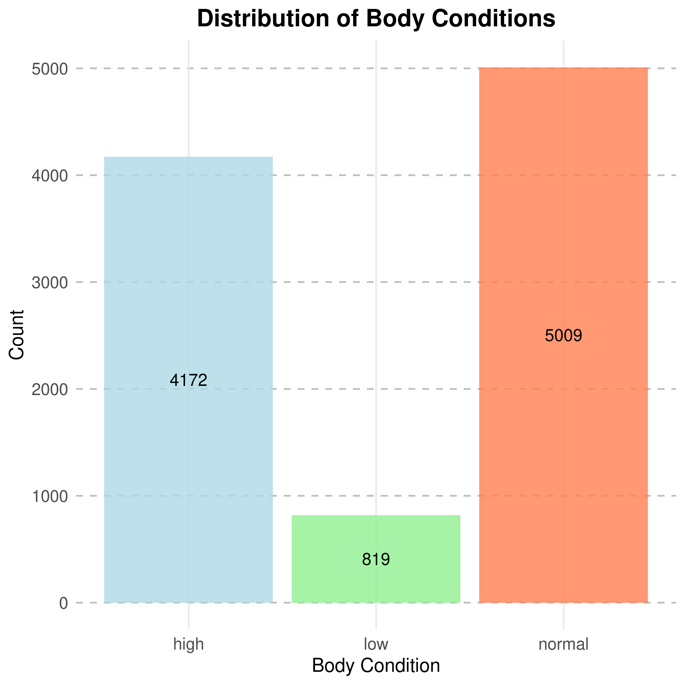 body_conditions.png